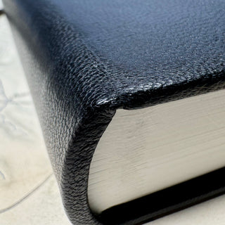 Wanderbüchlein, Leder