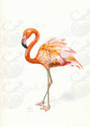 Flamingo (ohne Rahmen)