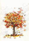 Herbstbaum (ohne Rahmen)