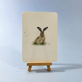 Postkarte  >Feldhase< (1)