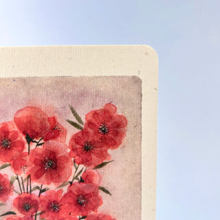 Postkarte  >Mohn<