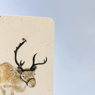 Postkarte  >Rentier<