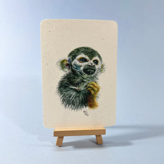 Postkarte >Totenkopfäffchen<