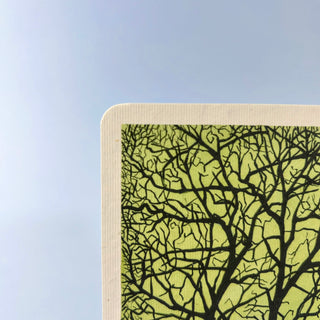 Postkarte  >Schwarzer Baum<