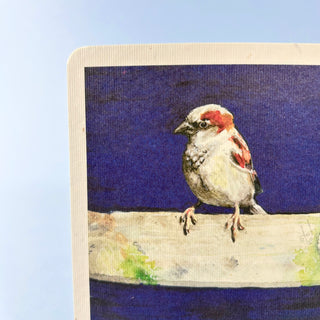 Postkarte  >Spatz auf Balken<