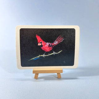 Postkarte  >Kardinal & Käfer<