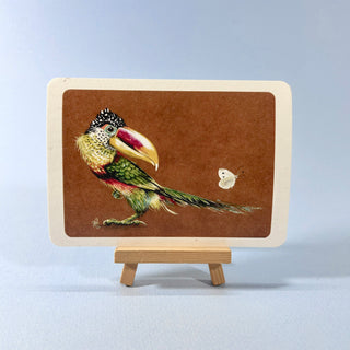 Postkarte  >Tukan<