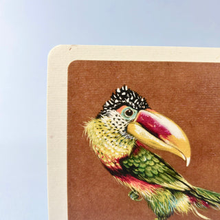 Postkarte  >Tukan<