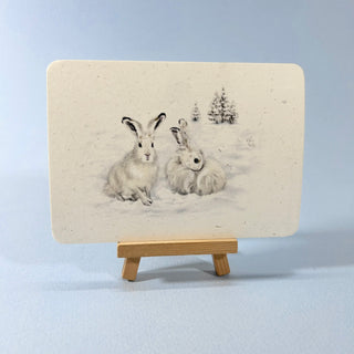 Postkarte  >Schneehase<