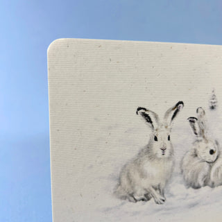 Postkarte  >Schneehase<