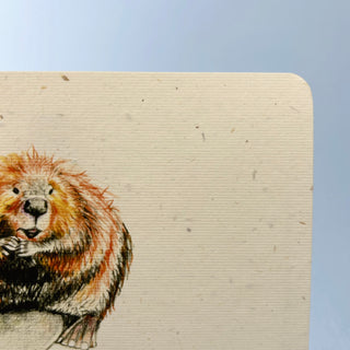 Postkarte >Biber<