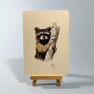 Postkarte >Waschbär< (2)
