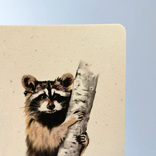 Postkarte >Waschbär< (2)