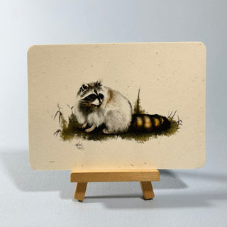 Postkarte >Waschbär<