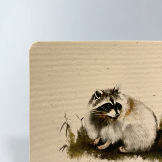 Postkarte >Waschbär<
