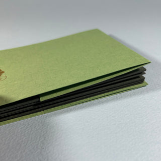 Kleines Fotoalbum Retro Lindgrün