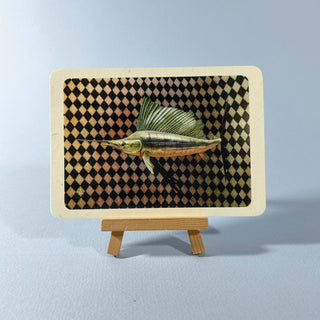 Postkarte >Fächerfisch<