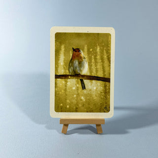 Postkarte  >Rotkehlchen< (3)