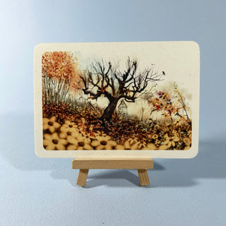 Postkarte  >Alter Baum<