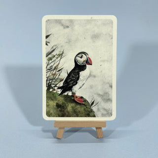 Postkarte  >Papageitaucher<