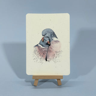 Postkarte  >Turteltauben<