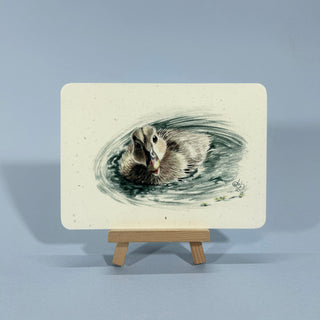 Postkarte  >Duckling<