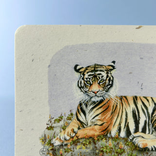 Postkarte  >Tiger<