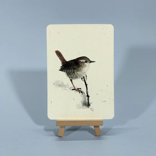 Aquarell-Illustration eines Zaunkönigs im Schnee mit Ast.