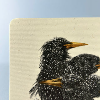 Postkarte  >Stare<
