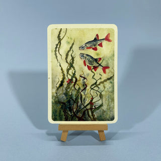 Unter-Wasser-Landschaft mit zwei Rotfedern und eine Wasserpflanze.