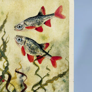 Unter-Wasser-Landschaft mit zwei Rotfedern und eine Wasserpflanze.