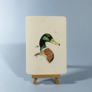 Postkarte  >Stockenterich<