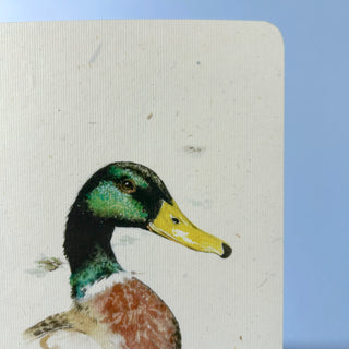 Postkarte  >Stockenterich<