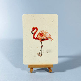 Postkarte  >Flamingo<