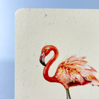 Postkarte  >Flamingo<