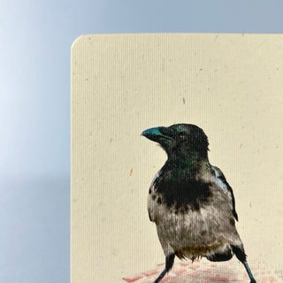 Postkarte  >Nebelkrähe<