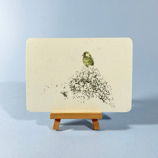 Postkarte  >Grünfink<