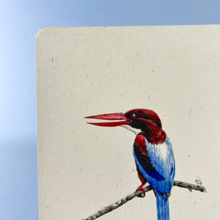 Postkarte  >Braunliest<