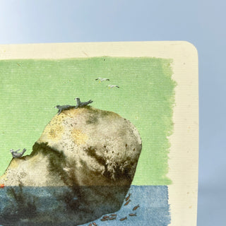Postkarte  >Felsen Robben<