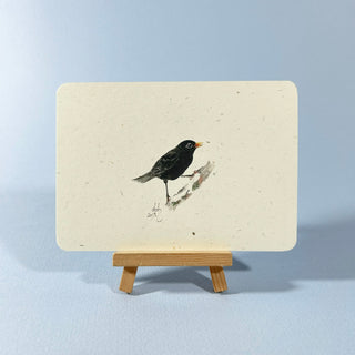 Postkarte  >Amsel<