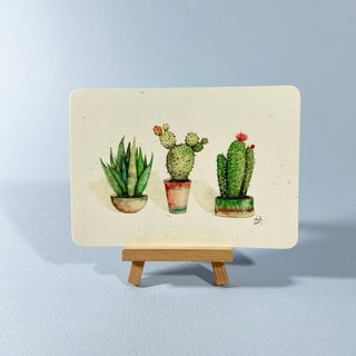 Postkarte  >Kakteen<