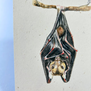 Postkarte  >Fledermaus<