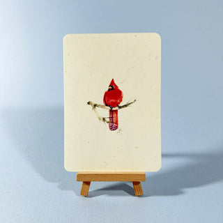 Postkarte  >Cardinal<
