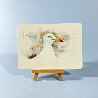 Postkarte  >Möwe<