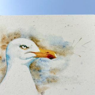 Postkarte  >Möwe<