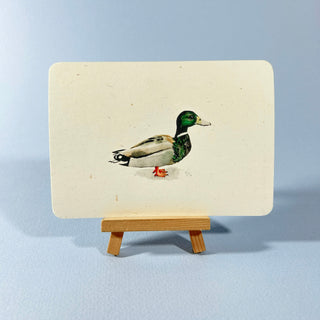 Postkarte  >Stockente<