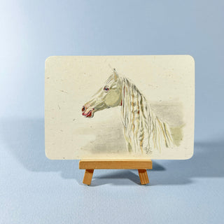 Postkarte >Pferd<