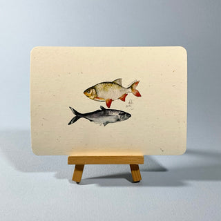 Postkarte >Fische<