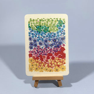Postkarte  >Regenbogenblumen<