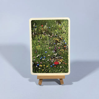 Postkarte  >Wildblumenwiese mit Hase<